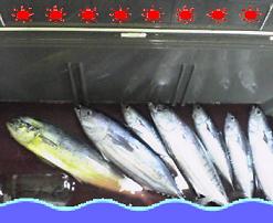 20061008.jpg