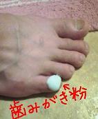 20061126.jpg