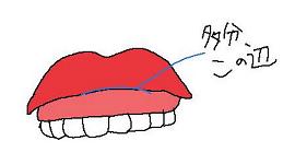 20070206-1.jpg