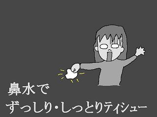20070309.jpg