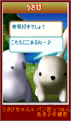 20070319-8.png