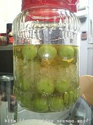 20080612-03.jpg