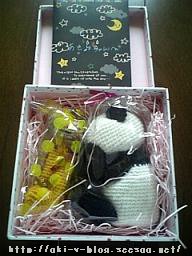 20080618-31.jpg