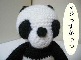 20080827-15.jpg