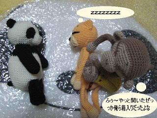 20080829-06.jpg