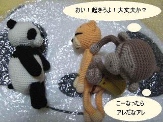 20080829-07.jpg