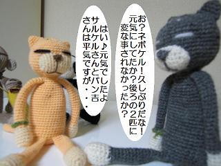 20080927-21.jpg
