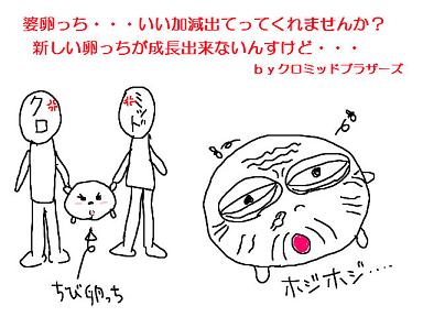 20081111-01.jpg