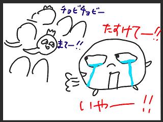 20090105-03.jpg