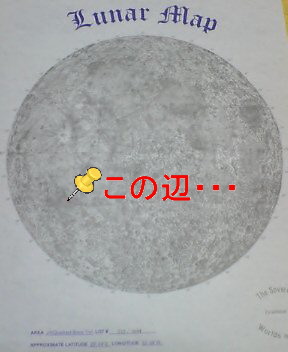 NEC_0083.jpg