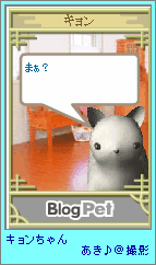 p4-112.png