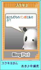 p4-19.png
