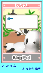 p4-24.png