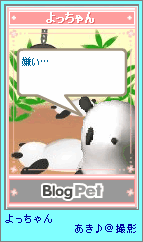 p4-27.png