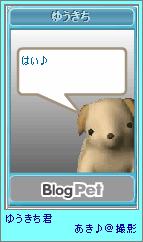 p4-32.png