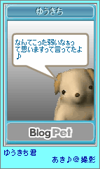 p4-34.png
