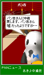pnn31.png