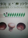 rinchan33333.jpg